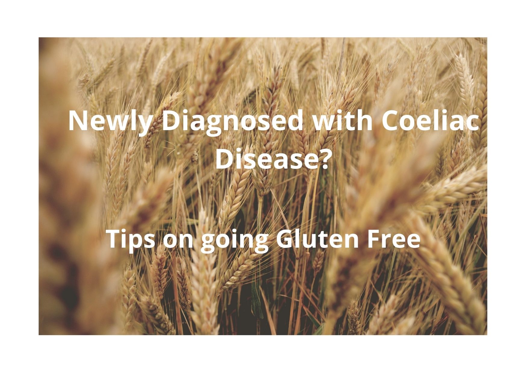 Newly diagnosed with Coeliac Disease?